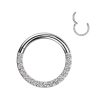 1pc- Implant Grade Titanium Hinged Segment Ring With Forward Facing Pave CNC Set CZ